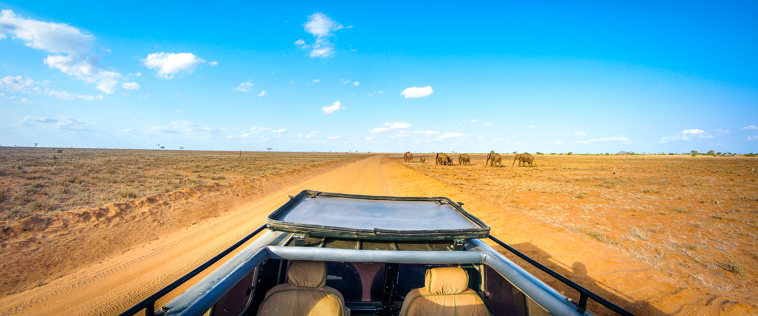 let us know your thoughts about Kenya and we will help you create the perfect safari 