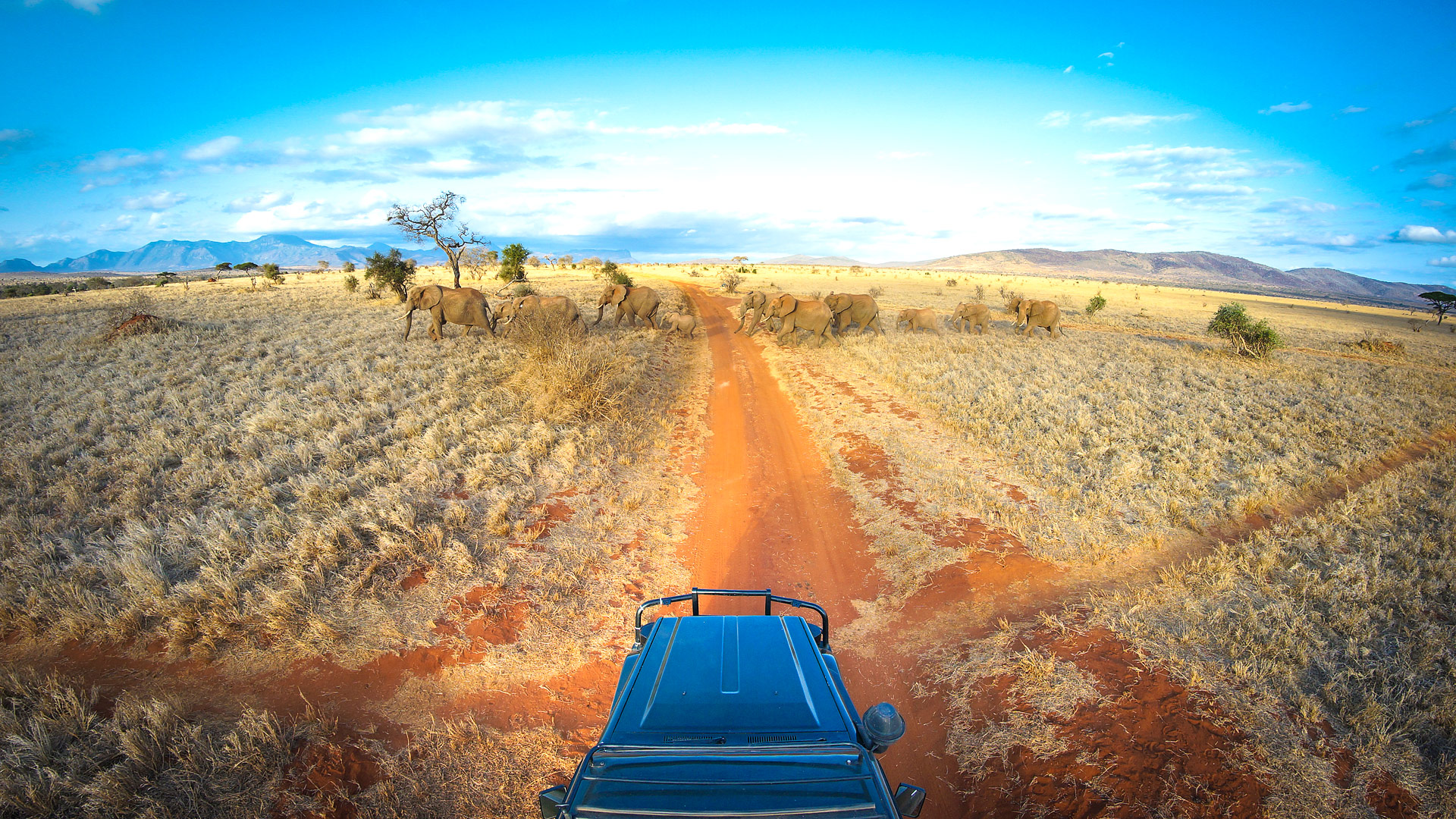 Safari to Tsavo West