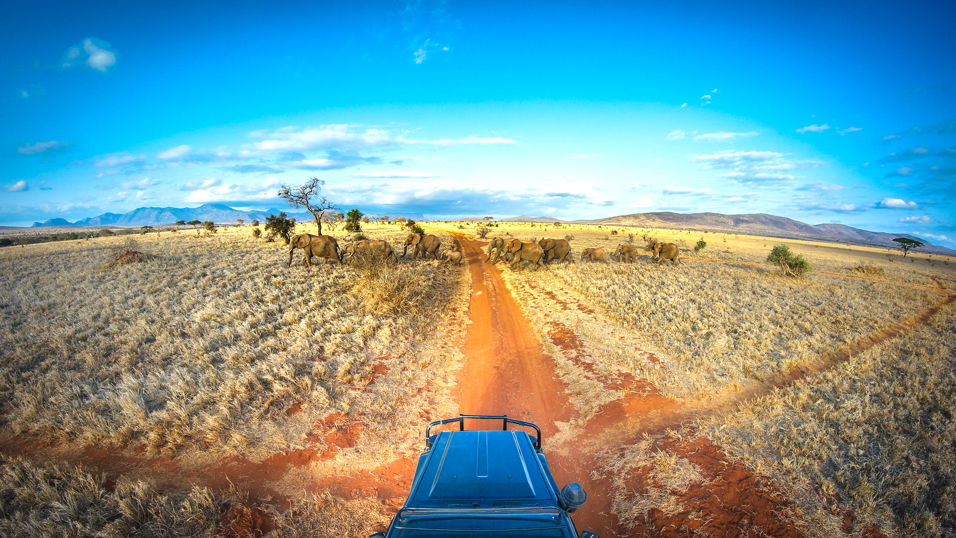 Safari to Tsavo West