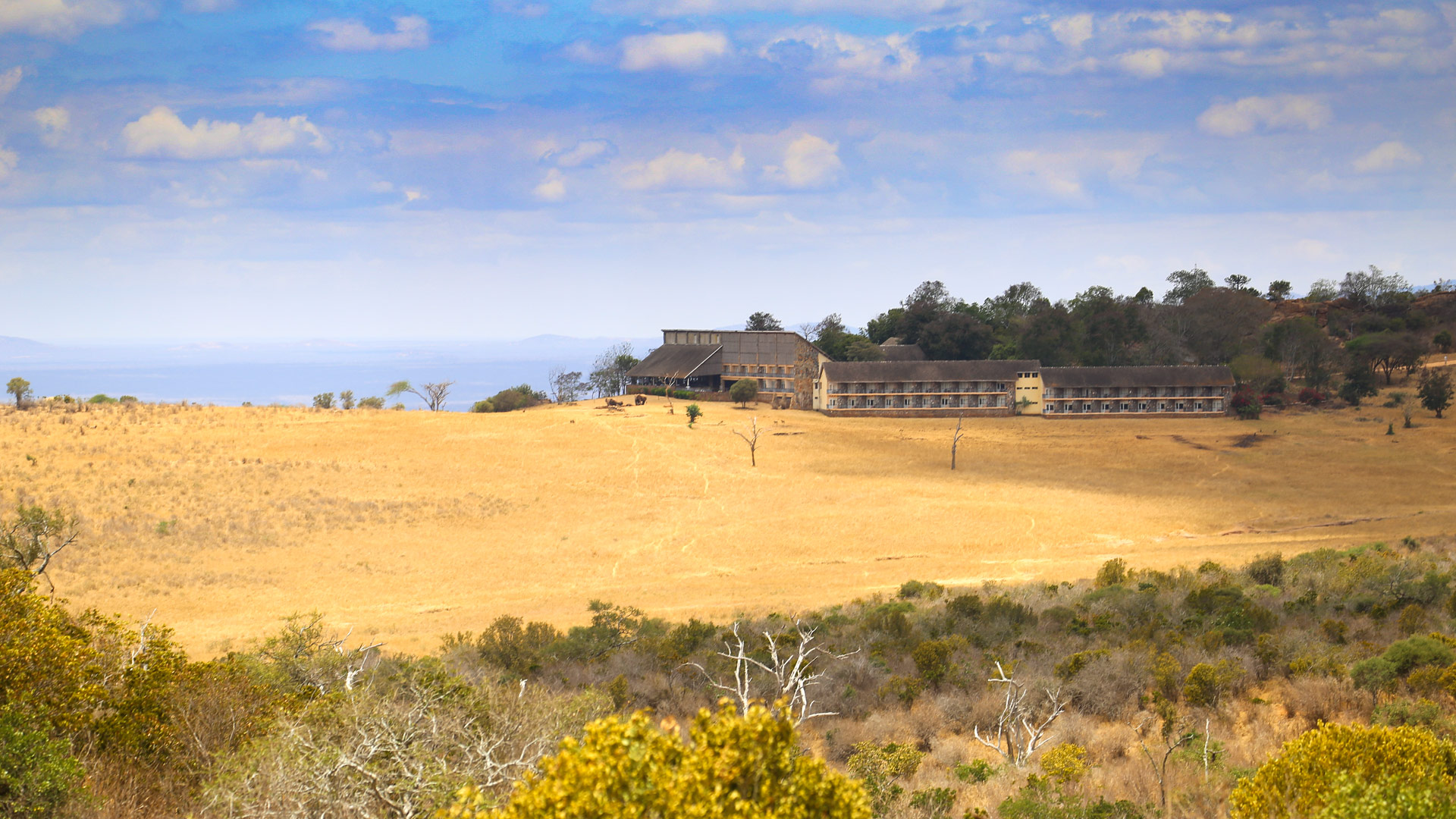 Ngulia Safari Lodge