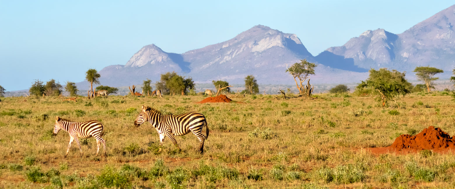 is a relatively simple but pleasant option in the Tsavo West area of southeast Kenya