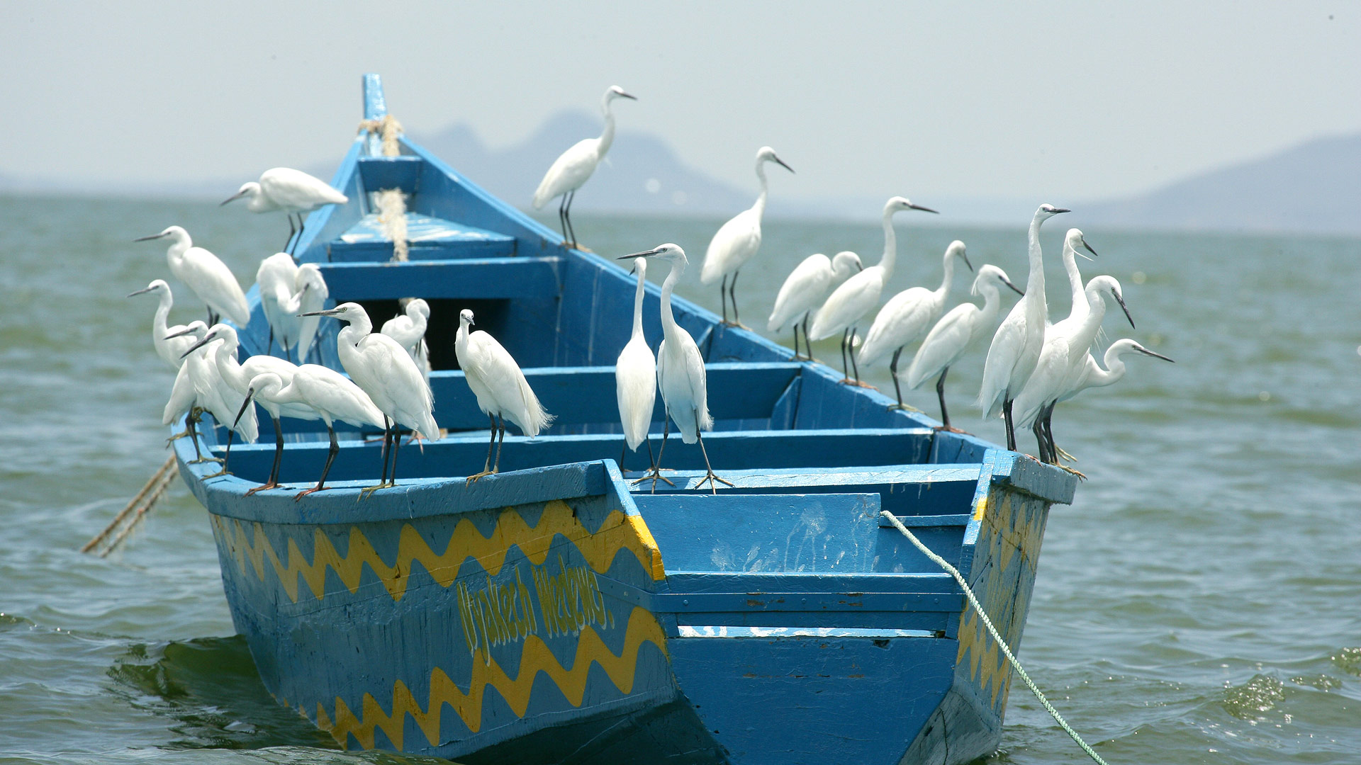 Safari to Lake Victoria Northeast