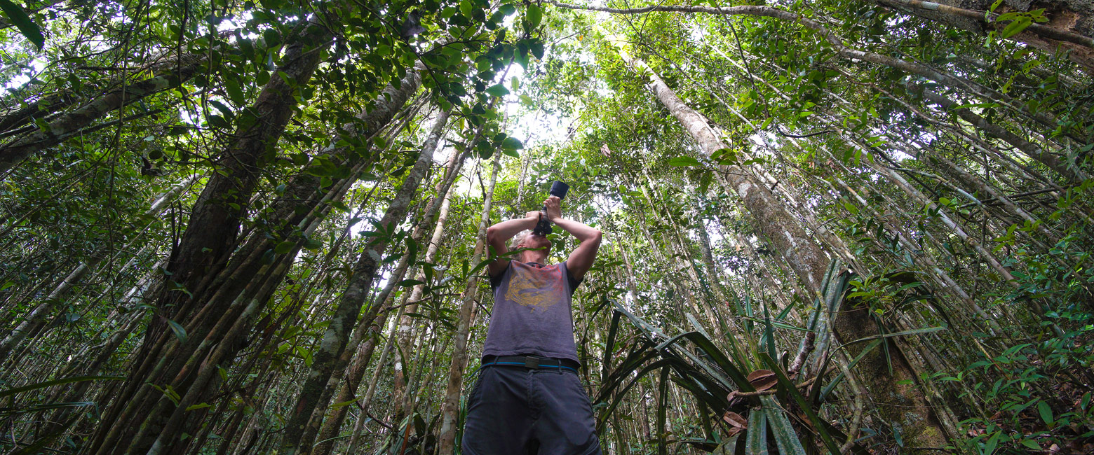 let us know your thoughts about Madagascar and we will help you create the perfect safari
