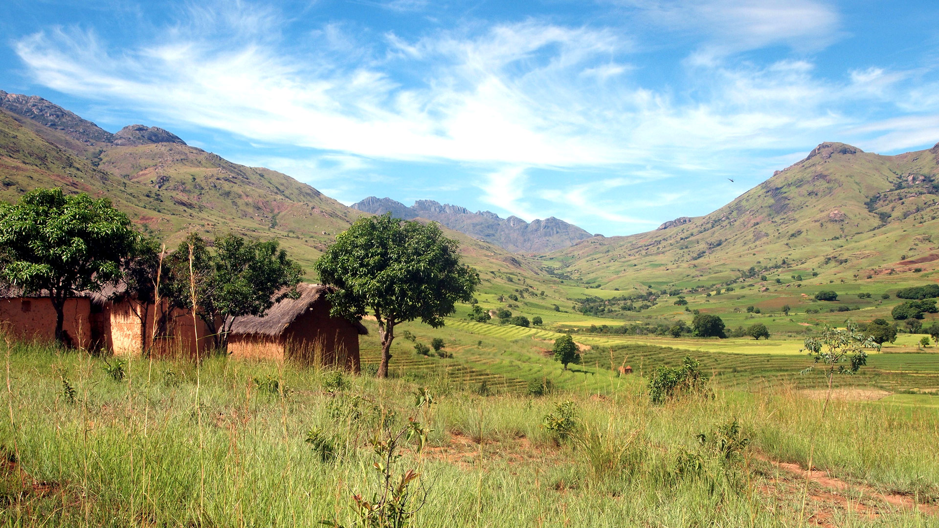 Safari to Andringitra