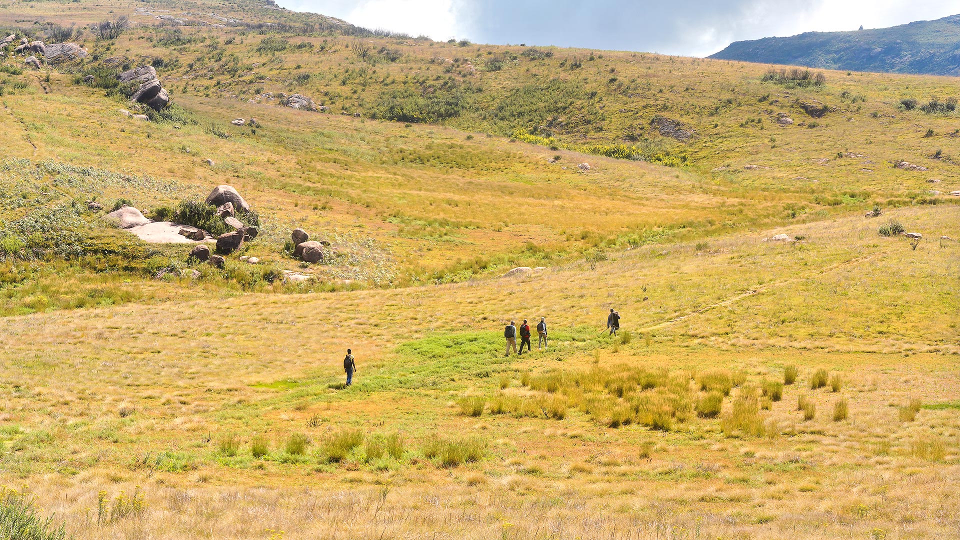 The are some seriously good options for single day hikes ...