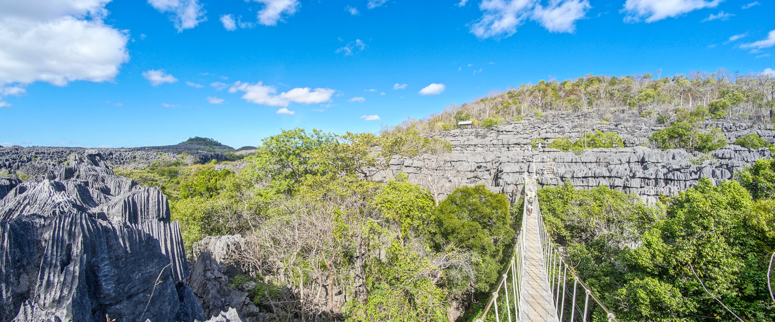 let us know your thoughts about Madagascar and we will help you create the perfect safari
