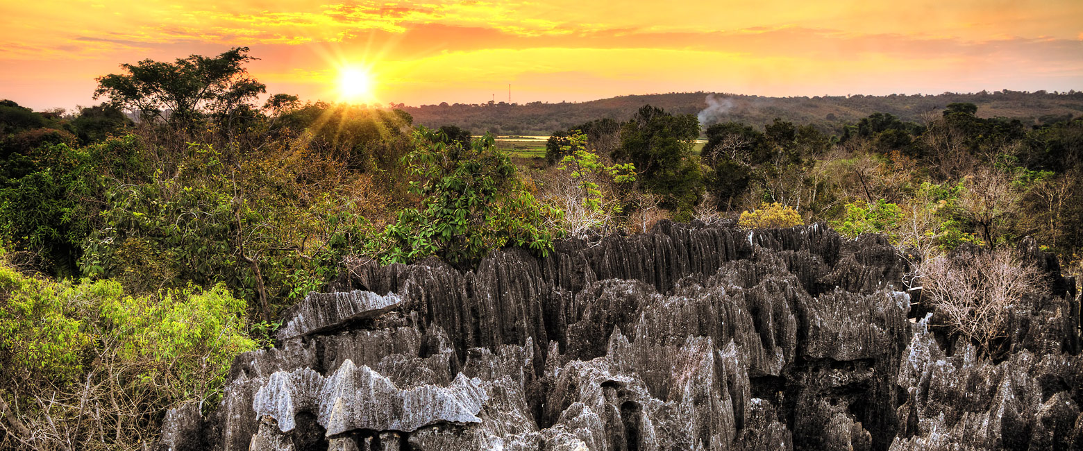 let us know your thoughts about Madagascar and we will help to create the perfect safari