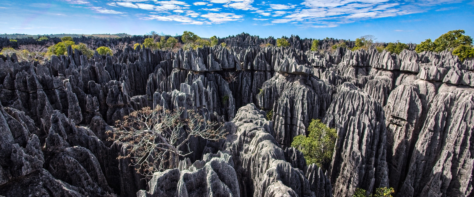 let us know your thoughts about Madagascar and we will help you create the perfect safari