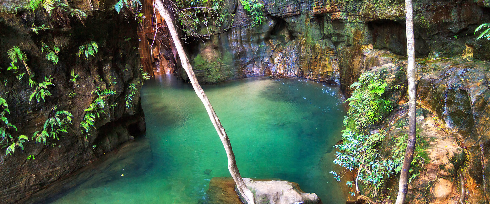 let us know your thoughts about Madagascar and we will help you create the perfect safari