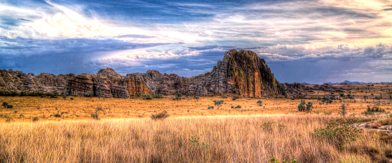 let us know your thoughts about Madagascar and we will help you create the perfect safari