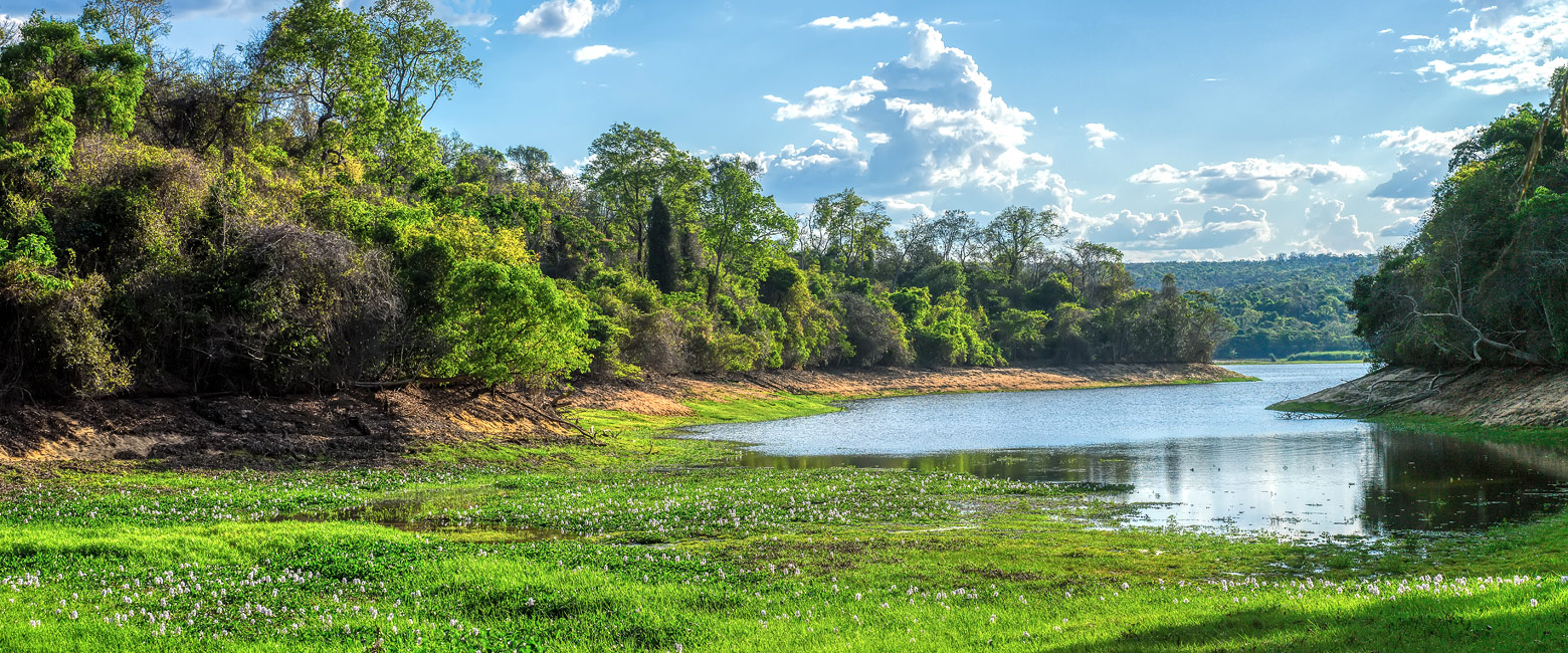 let us know your thoughts about Madagascar and we will help to create the perfect safari 