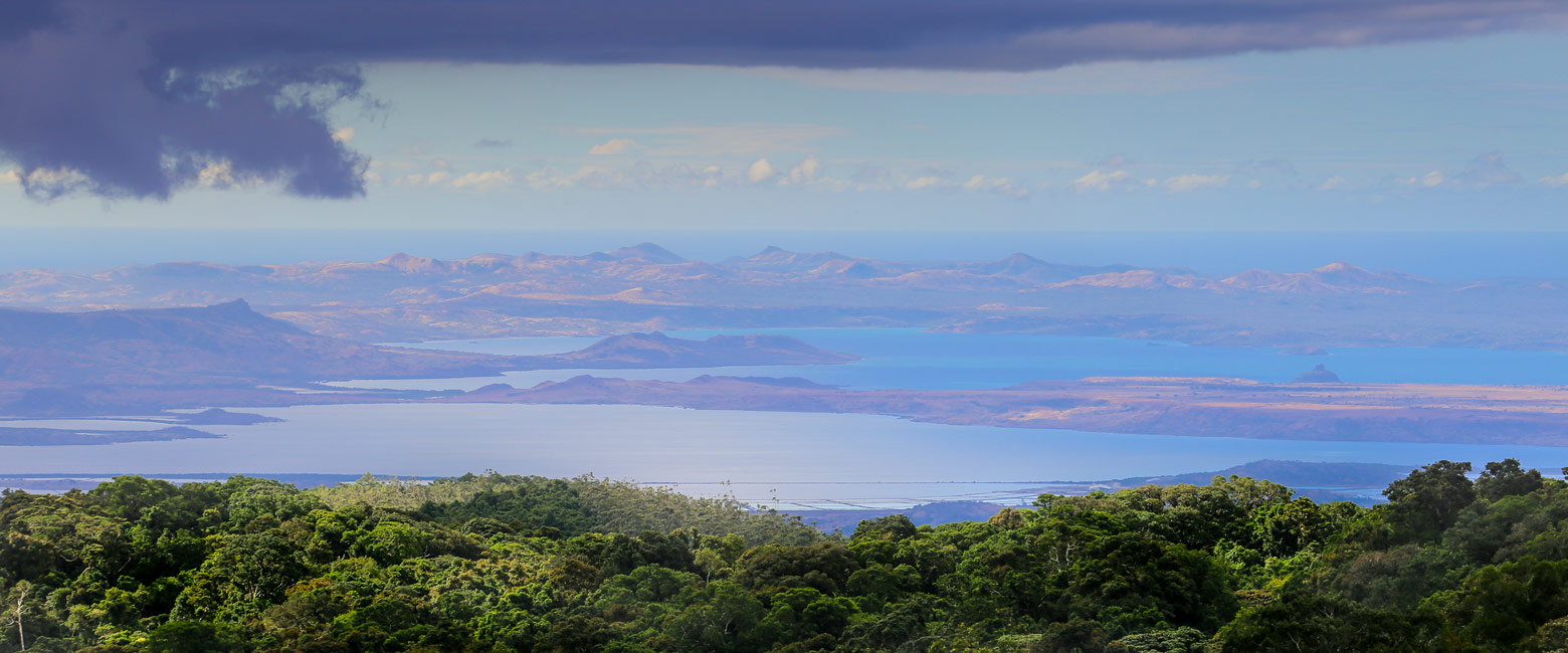 let us know your thoughts about Madagascar and we will help you create the perfect safari