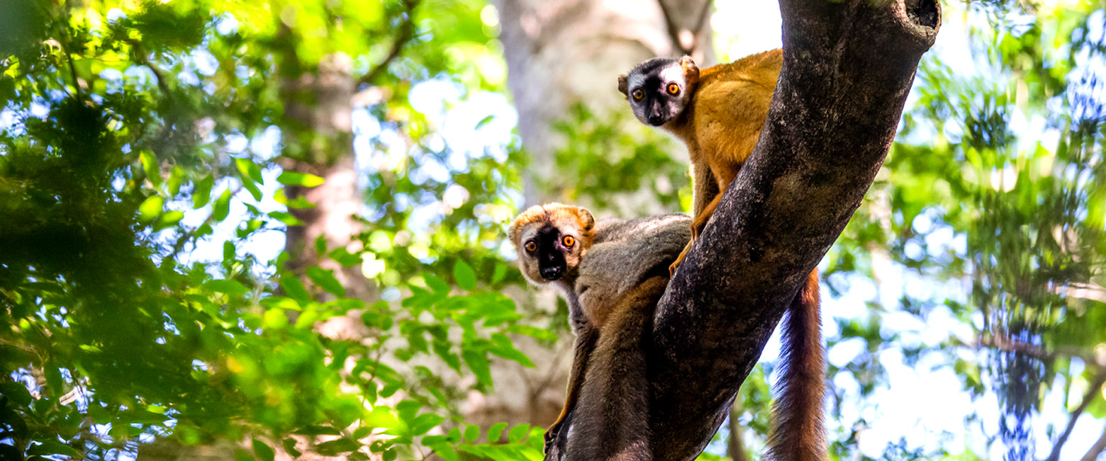 is a very remote area in northeast Madagascar