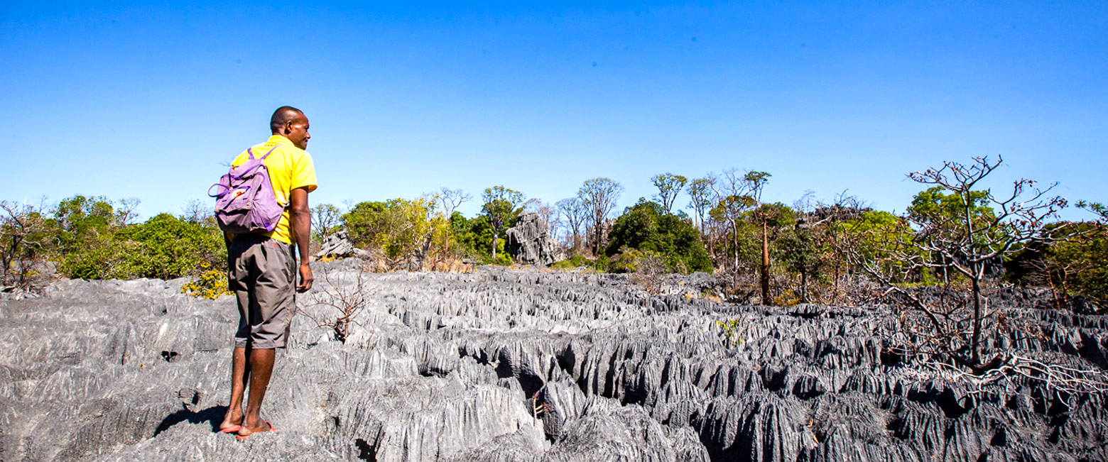 let us know your thoughts about Madagascar and we will help you create the perfect safari