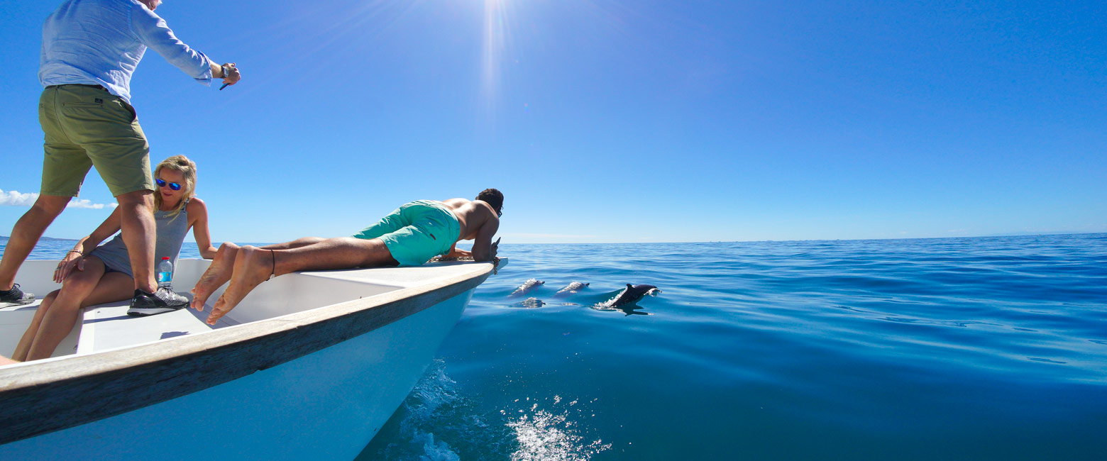 let us know your thoughts about Madagascar and we will help you create the perfect safari