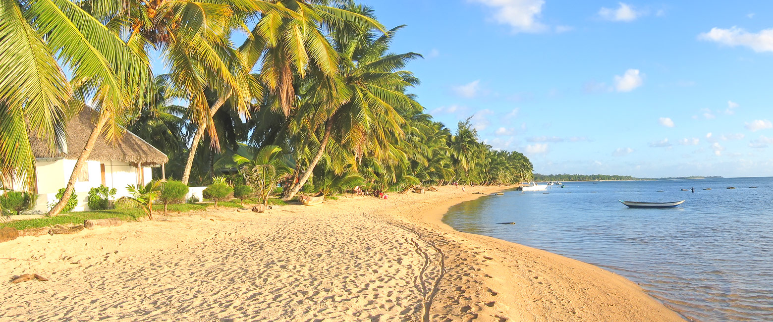 let us know your thoughts about Madagascar and we will help you create the perfect safari