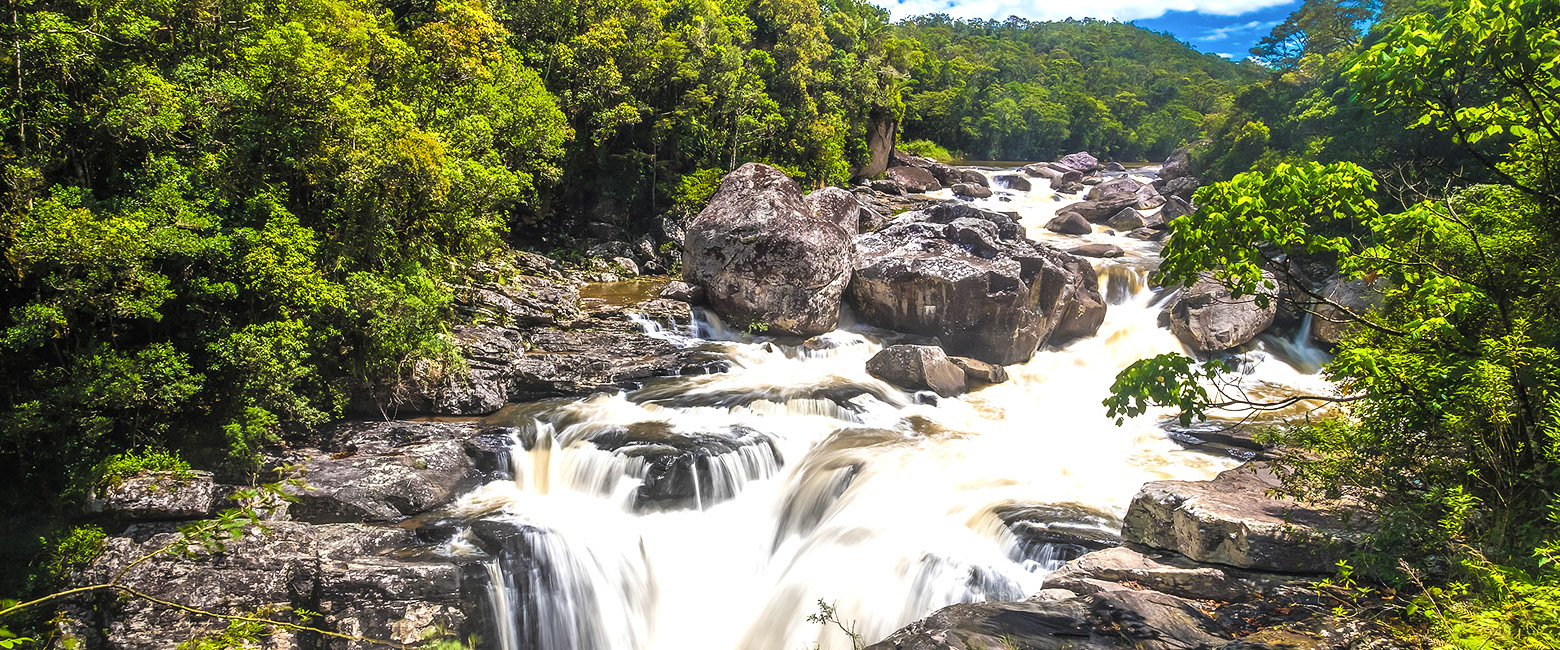 is an area of tropical cloud forest in southwest Madagascar