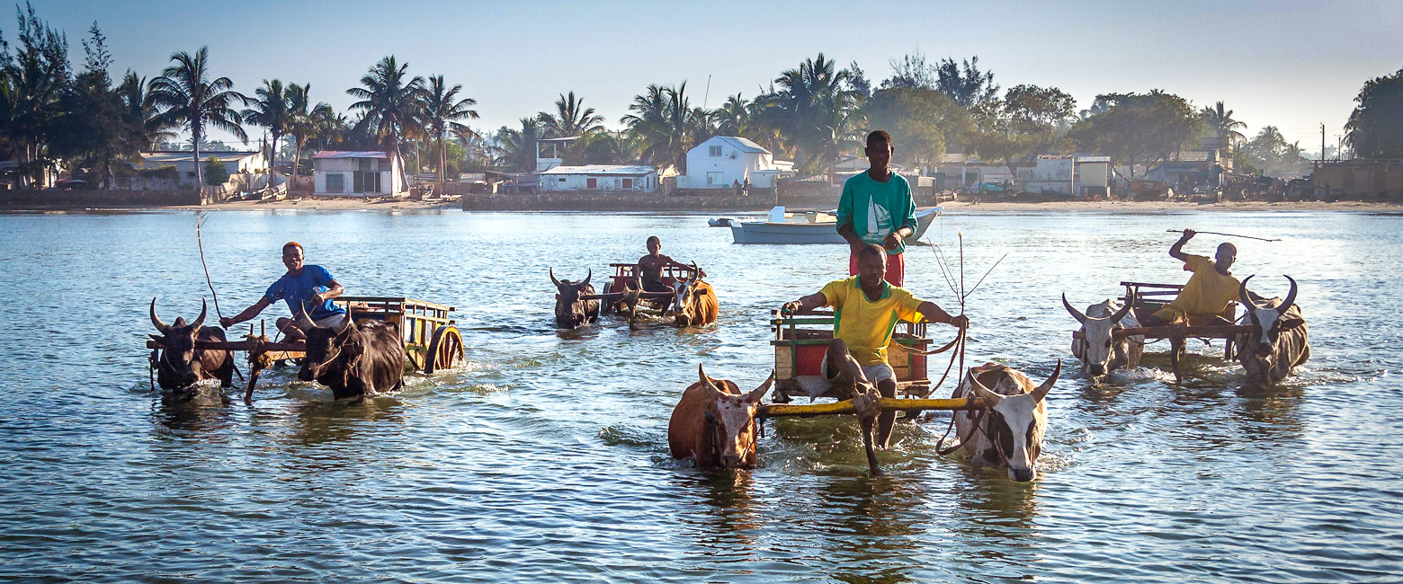 let us know your thoughts about Madagascar and we will help you create the perfect safari