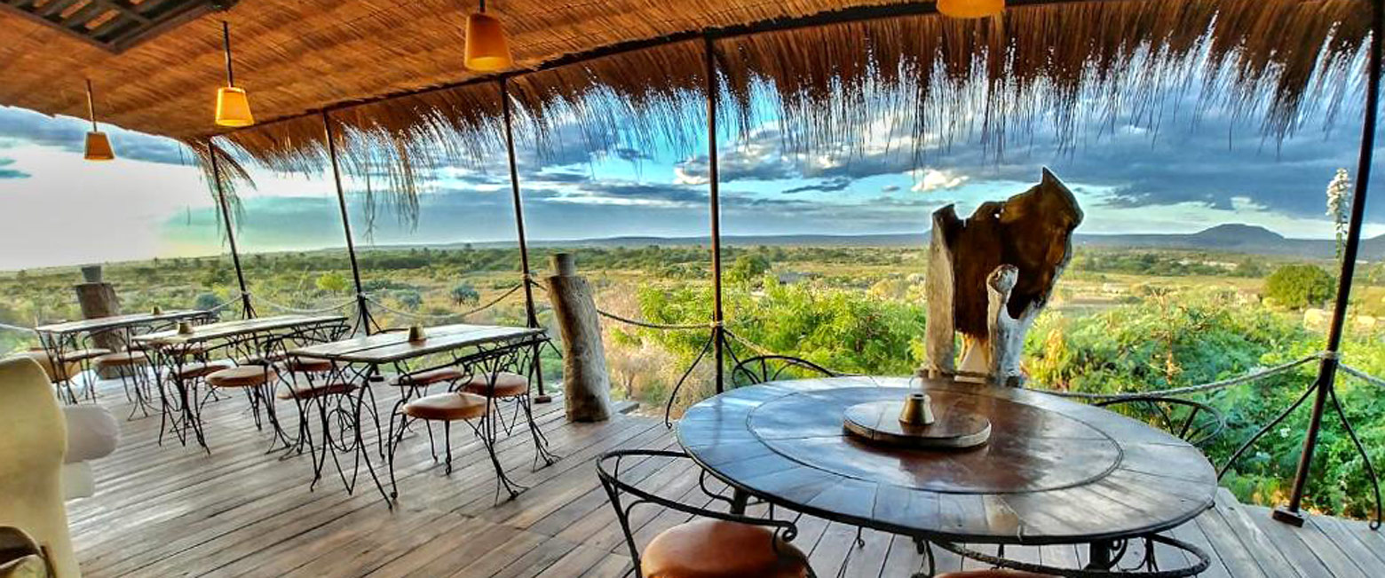 let us know your thoughts about Madagascar and we will help you create the perfect safari