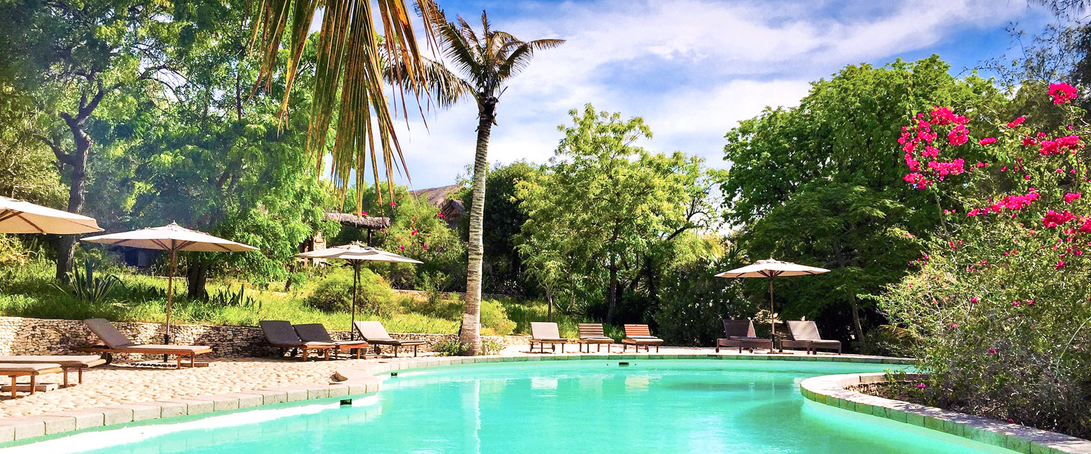 let us know your thoughts about Madagascar and we will make sure to deliver the perfect safari