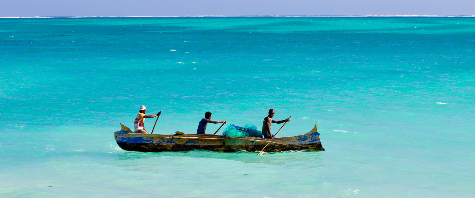 let us know your thoughts about Madagascar and we will help you create the perfect safari