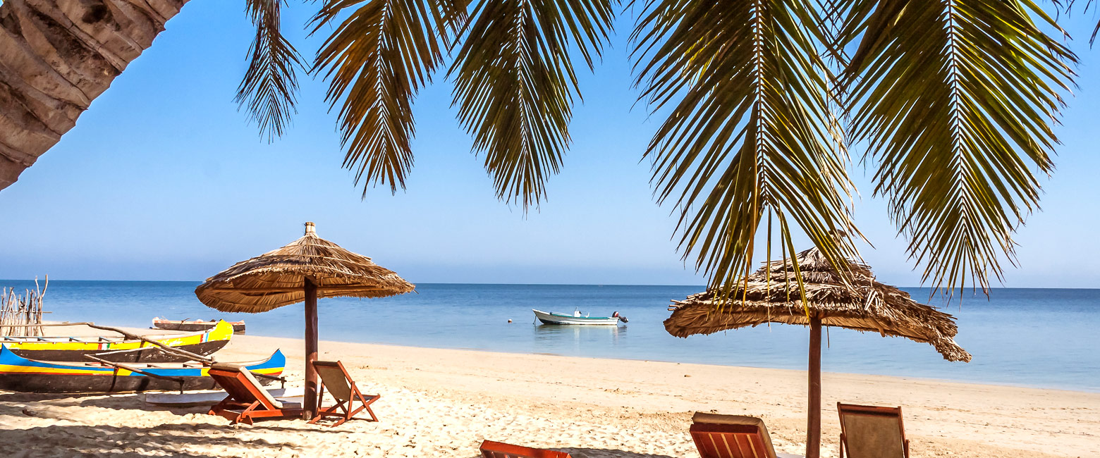 let us know your thoughts about Madagascar and we will help you create the perfect safari 