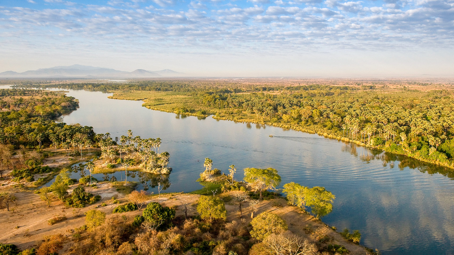 Safari in Malawi