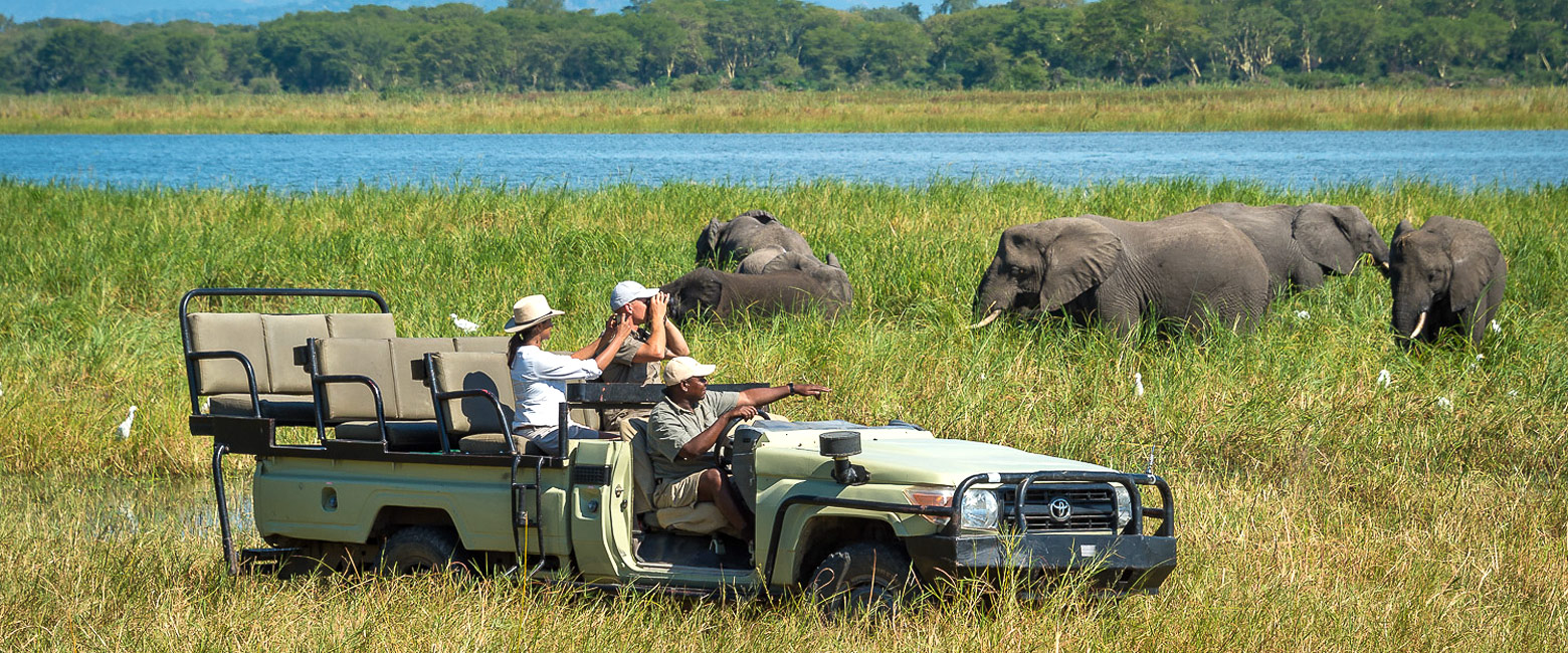 let us know your thoughts about Malawi and we will make help you create the perfect safari