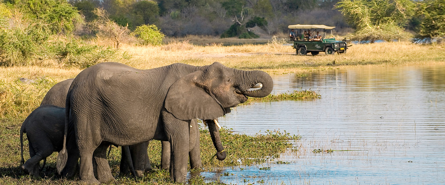 let us know your thoughts about Malawi and we will help you create the perfect safari