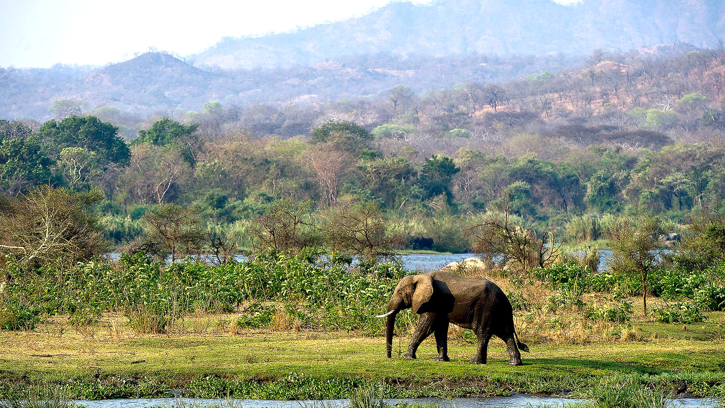 Safari to Majete and Lengwe
