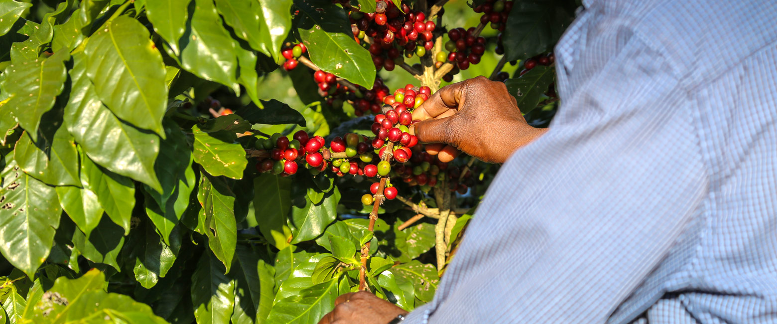 is a beautiful rural area in southern Malawi 