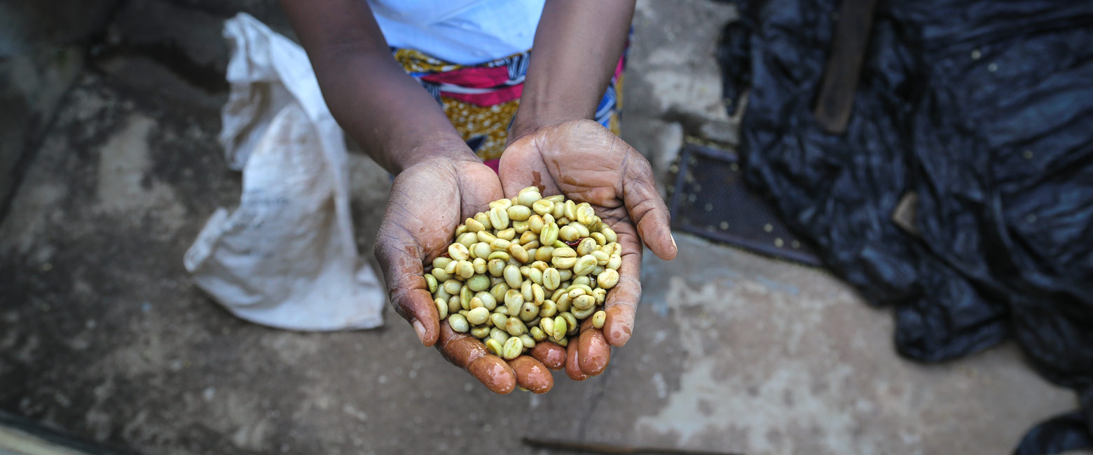 let us know your thoughts about Malawi and we will help you create the perfect safari 