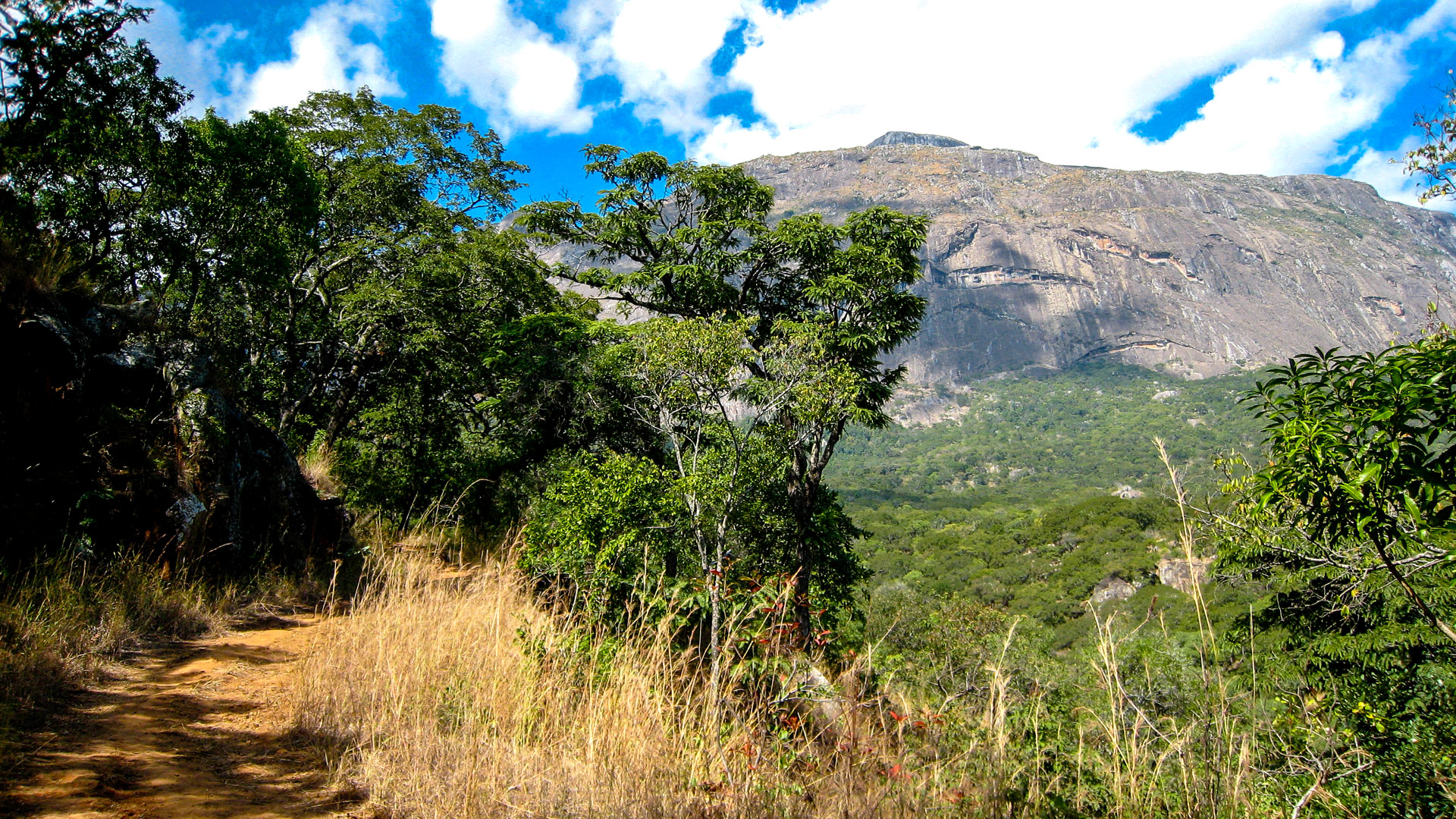 Mulanje 4 Night Trek