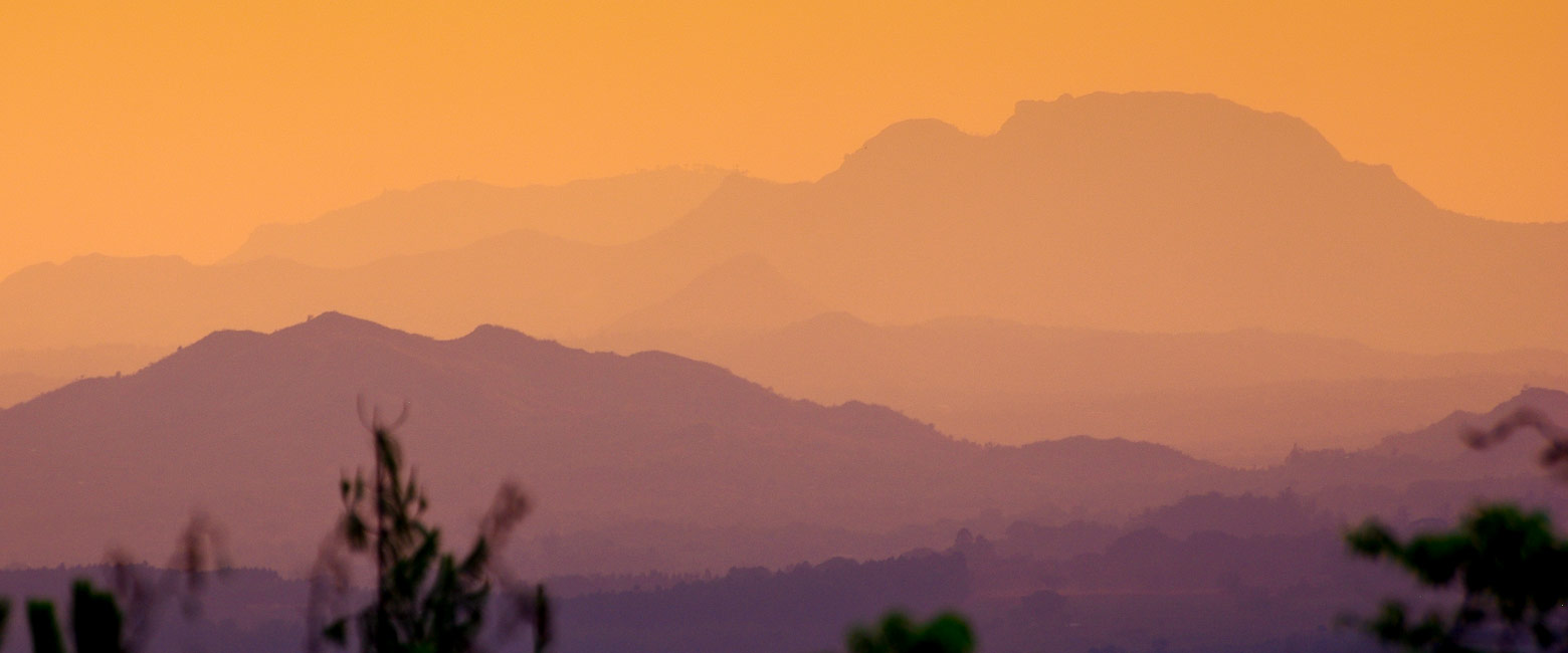 let us know your thoughts about Malawi and we will help you create the perfect safari