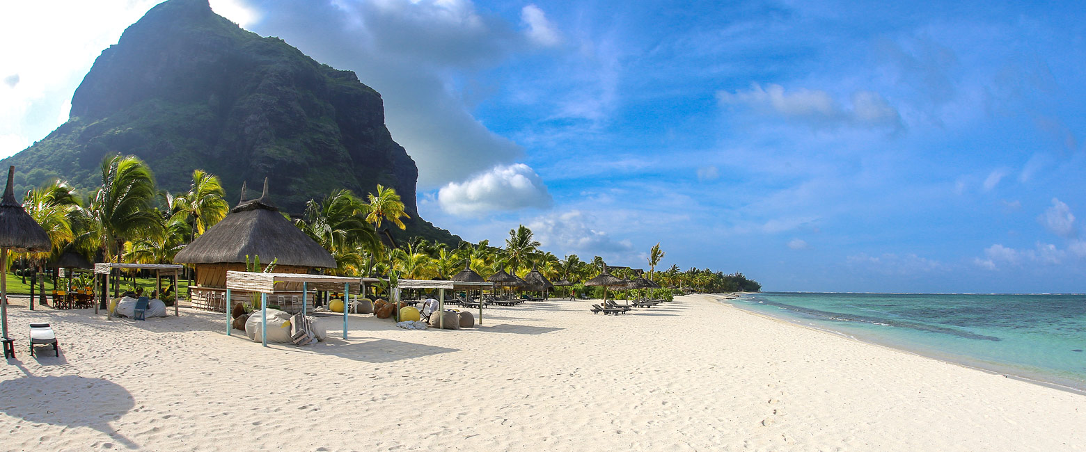 let us know your thoughts about Mauritius and we will help me create the perfect safari 