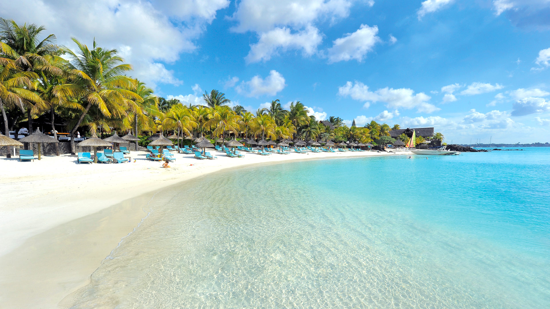 Beachcomber Royal Palm