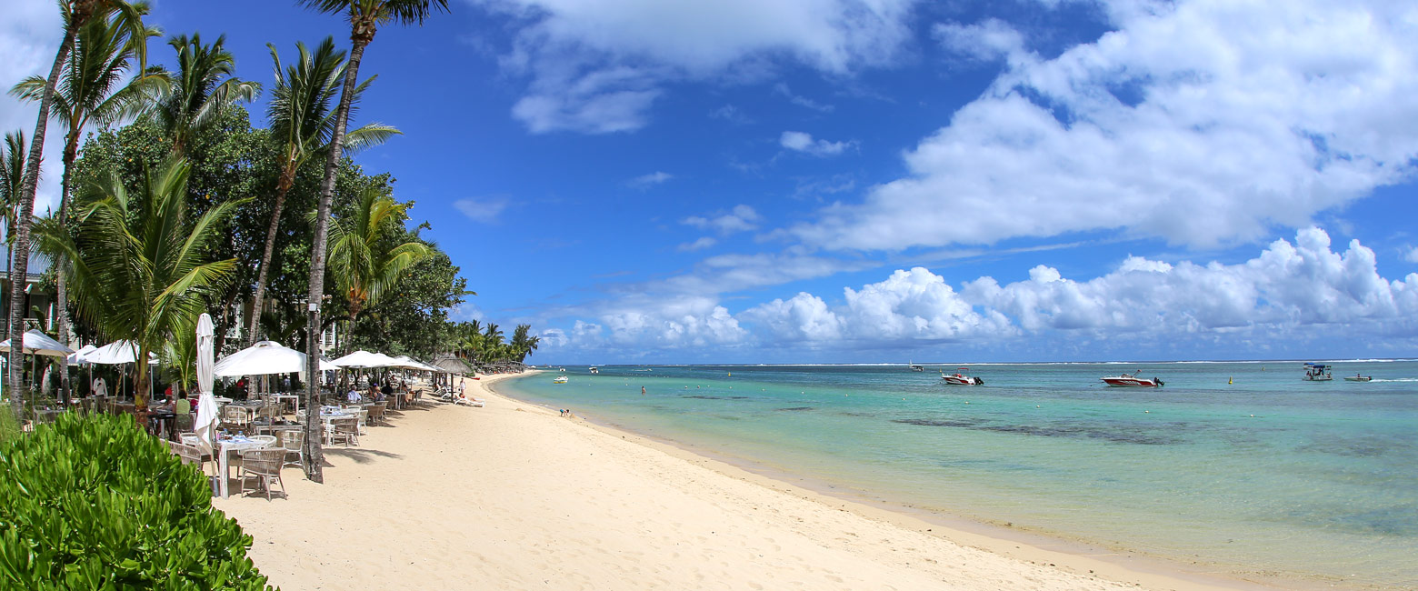 let us know your thoughts about Mauritius and we will help you create the perfect safari 