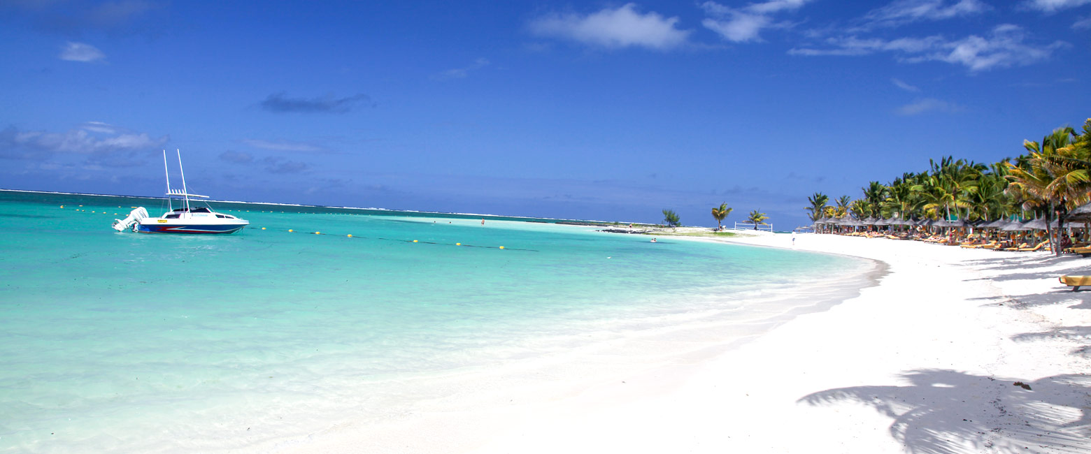 let us know your thoughts about Mauritius and we will help you create the perfect safari 