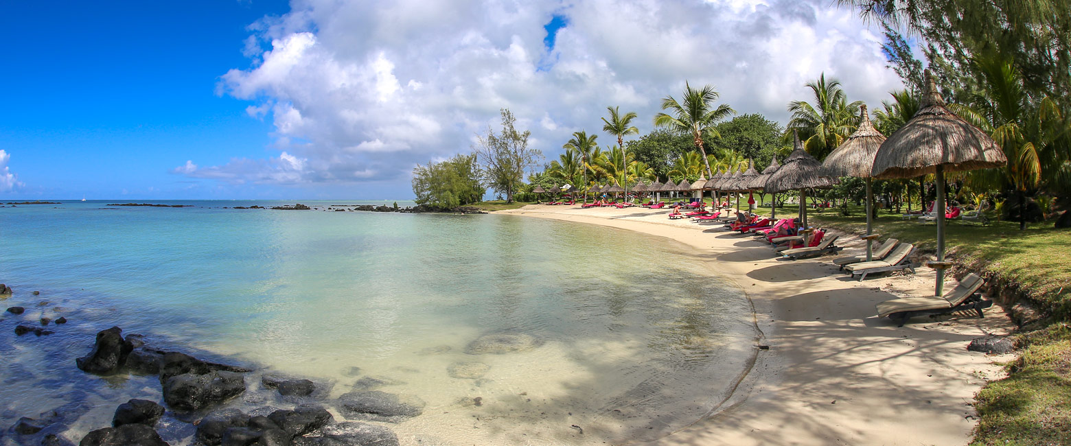 let us know your thoughts about Mauritius and we will help you create the perfect safari 