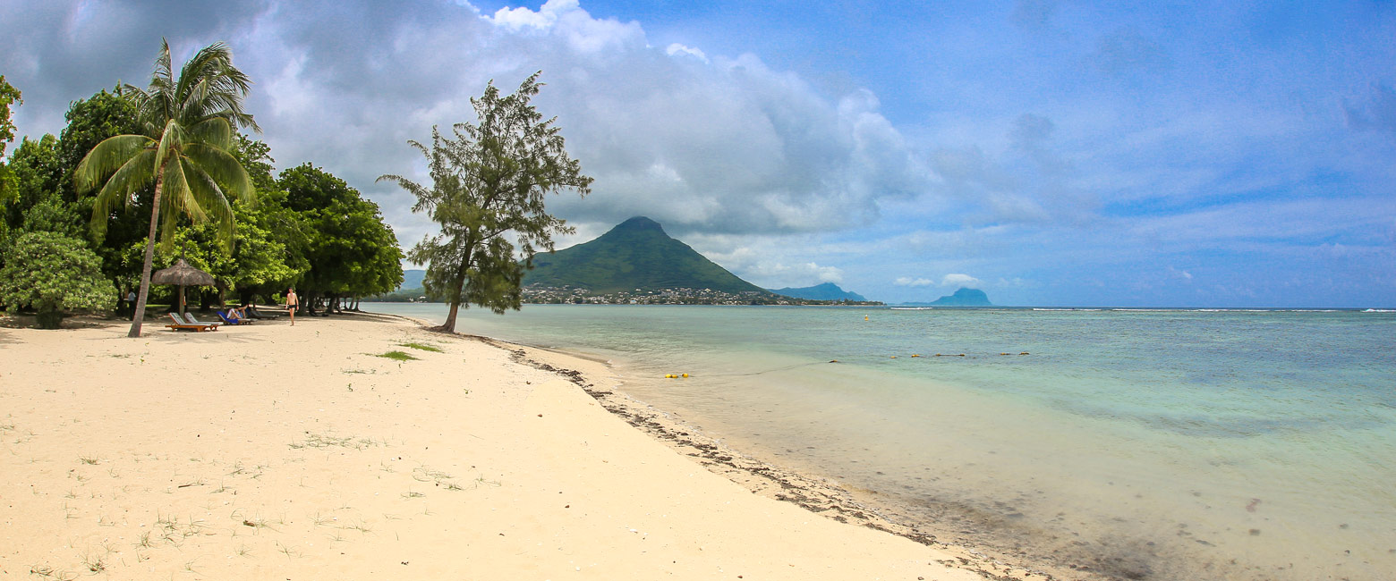 let us know your thoughts about Mauritius and we will help you create the perfect safari