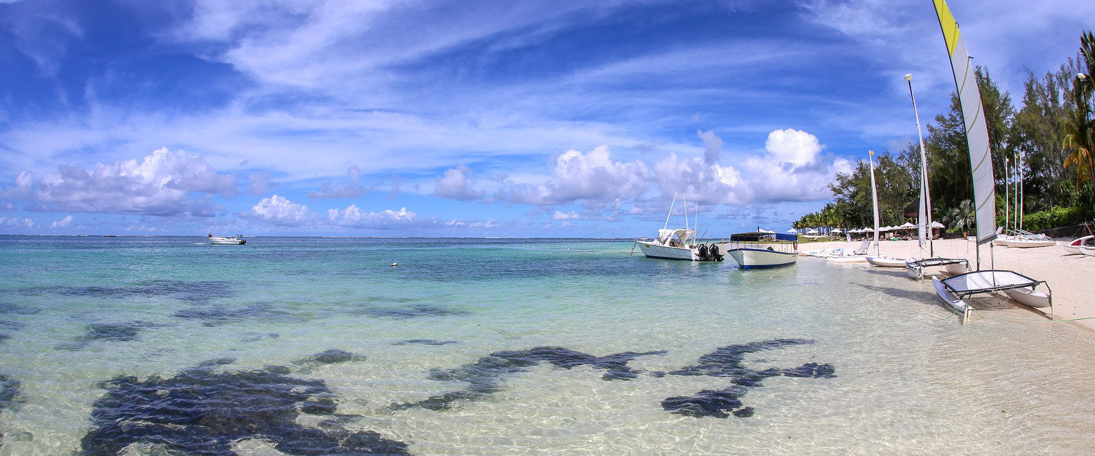 let us know your thoughts about Mauritius and we will help you create the perfect safari