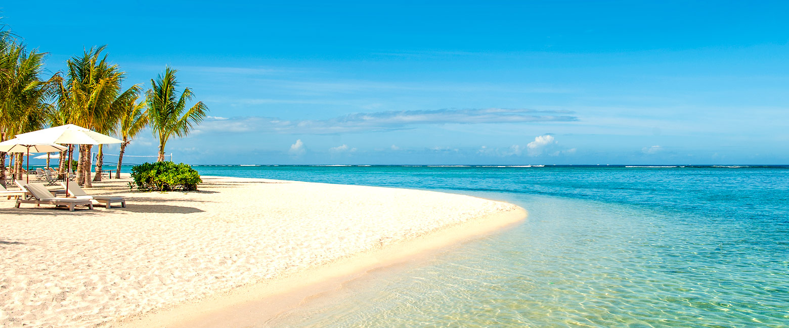 let us know your thoughts about Mauritius and we will help you create the perfect safari 