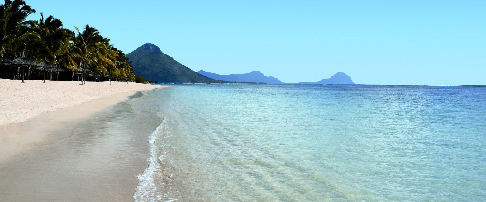 let us know your thoughts about Mauritius and we will help you create the perfect safari