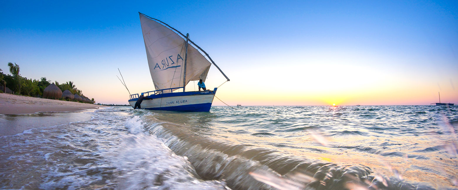 let us know your thoughts about Mozambique and we will help to create the perfect safari 