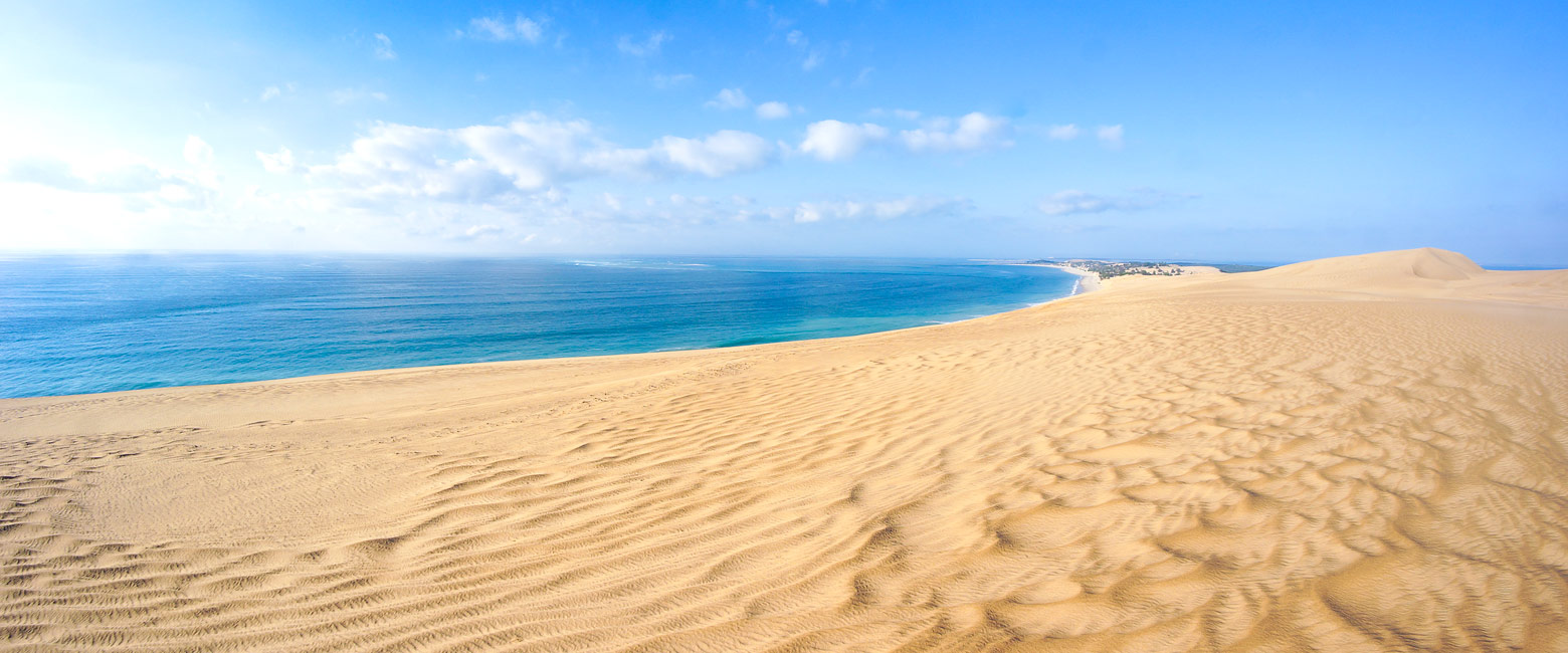 let us know your thoughts about Mozambique and we will help you create the perfect safari 