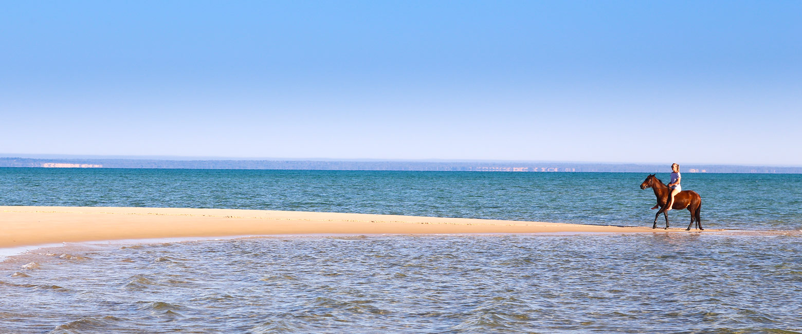 let us know your thoughts about Mozambique and we will help you create the perfect safari 