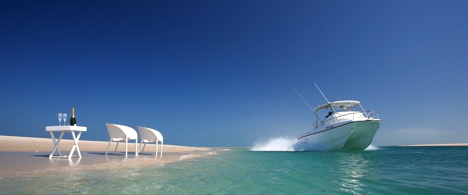 let us know your thoughts about Mozambique and we will help you create the perfect safari 