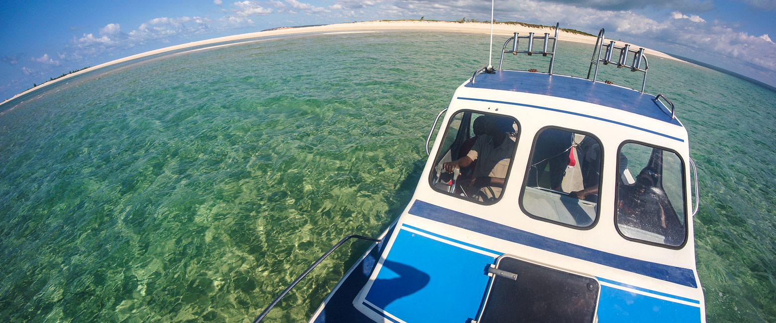 let us know your thoughts about Mozambique and we will help you create the perfect safari 