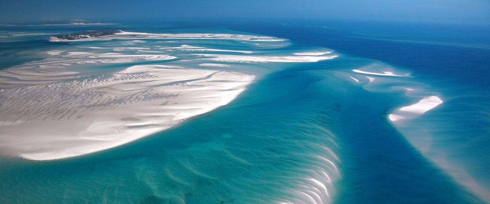 let us know your thoughts about Mozambique and we will make sure to deliver the perfect safari