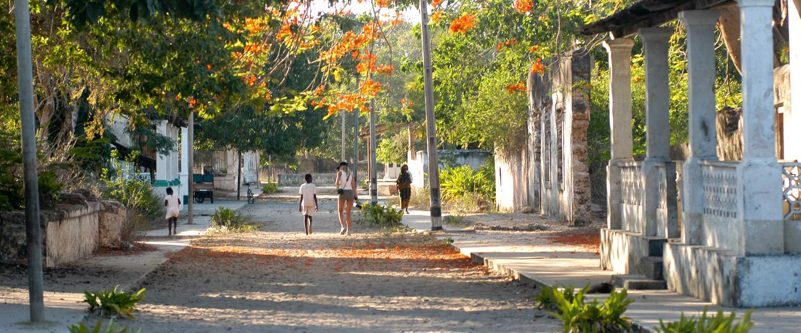 let us know your thoughts about Mozambique and we will help to create the perfect safari 